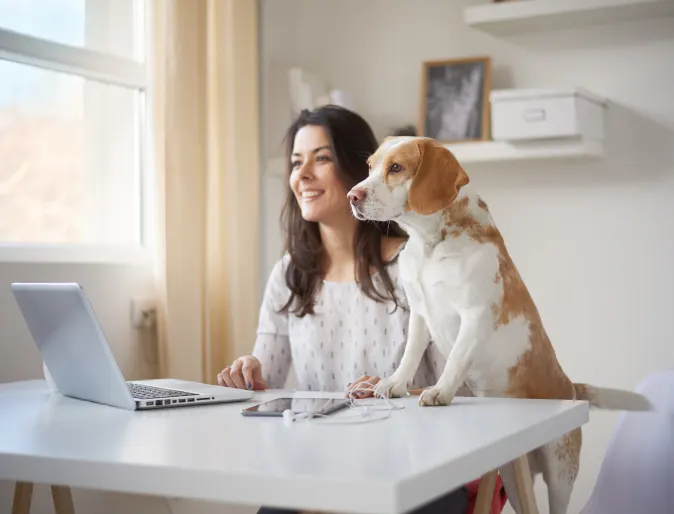 Woman and dog sitting at desk looking at laptop